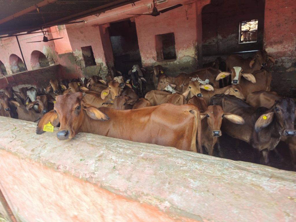 AB Seva monthly support in action